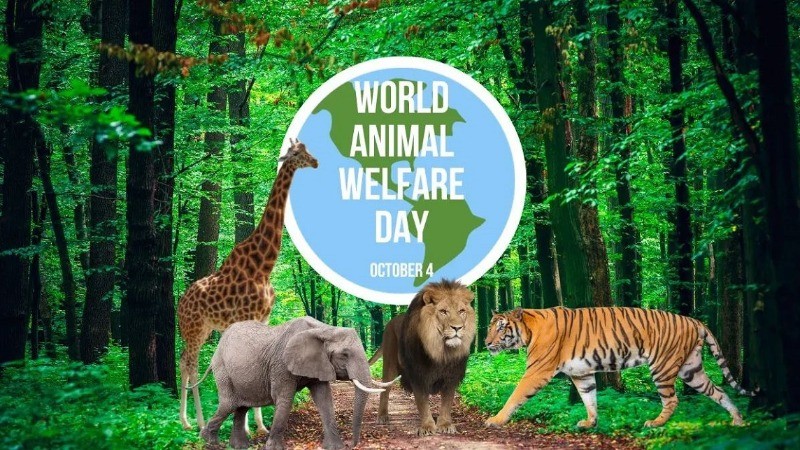 World Animal Welfare Day 2024: History, Importance, Facts, and More