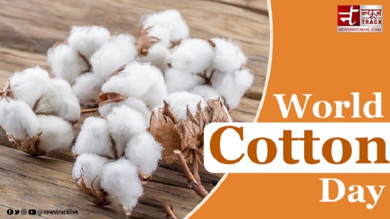 World Cotton Day: Celebrating the Global Importance of Cotton