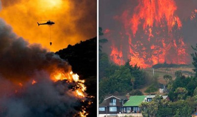 न्यूजीलैंड के जंगलों में आग का कहर, दूर- दूर तक पहुंची लपटें