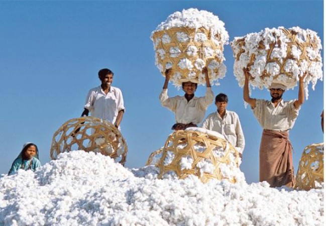 World Cotton Day: The Ancient Origins of Cotton in India