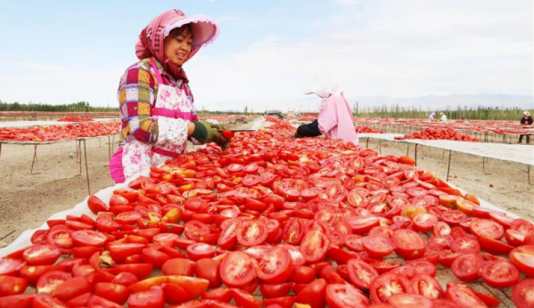 Why does the US forbid tomato exports from Xinjiang?
