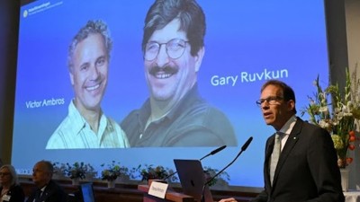 Victor Ambros and Gary Ruvkun Awarded 2024 Nobel Prize in Medicine for MicroRNA Discovery