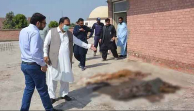 Disturbing! A Pakistani hospital's roof contained dozens of decomposing bodies