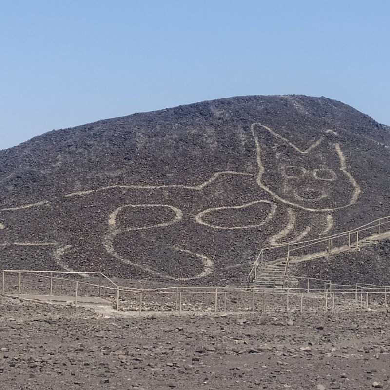 2000 Years old cat etching at Nazca Lines, Peru
