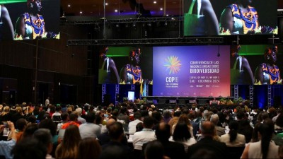 COP16: Global Environmental Leaders Meet in Colombia to Address Declining Biodiversity