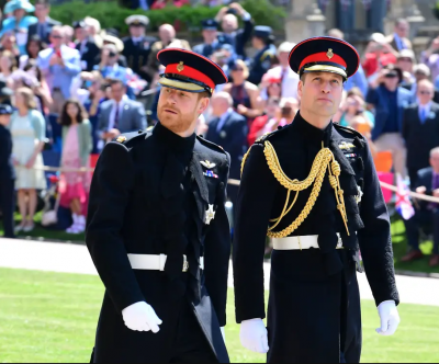 Banning Prince Harry from military uniform does not diminish his service