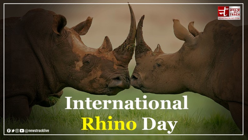 World Rhino Day: Celebrating and Protecting Earth's Gentle Giants