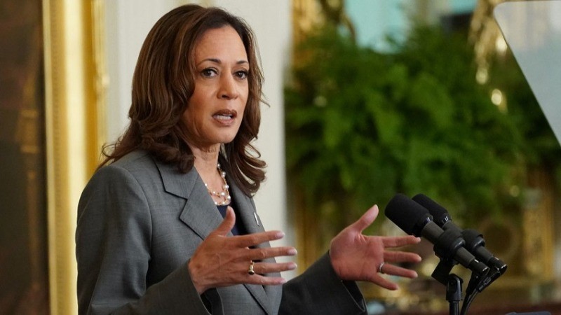 Kamala Harris Pledges Immigration Reform Amidst Border Challenges