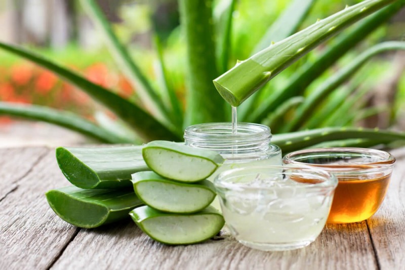 The benefits of aloe vera gel will surprise you, it is a panacea for the skin