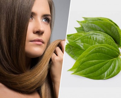 These green leaves are beneficial for hair as well as skin