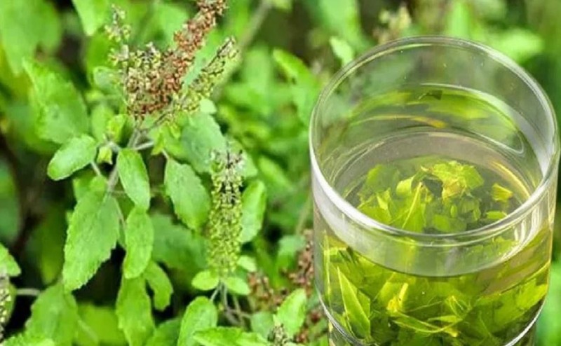 Want a Moon-Like Glow? Try Tulsi Water for Radiant Skin