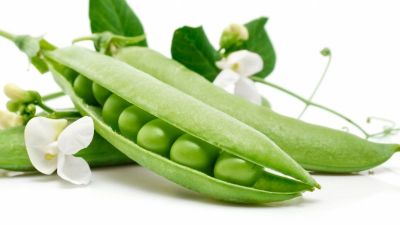 Let's know the beauty benefits of Green Peas