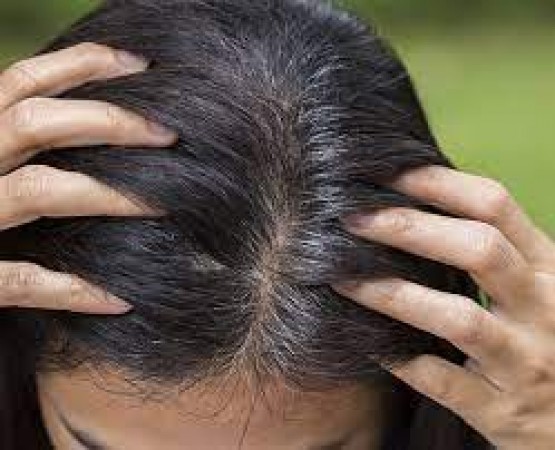 Is the increasing graying of hair troubling you? Don't panic, start using this leaf, it will be beneficial