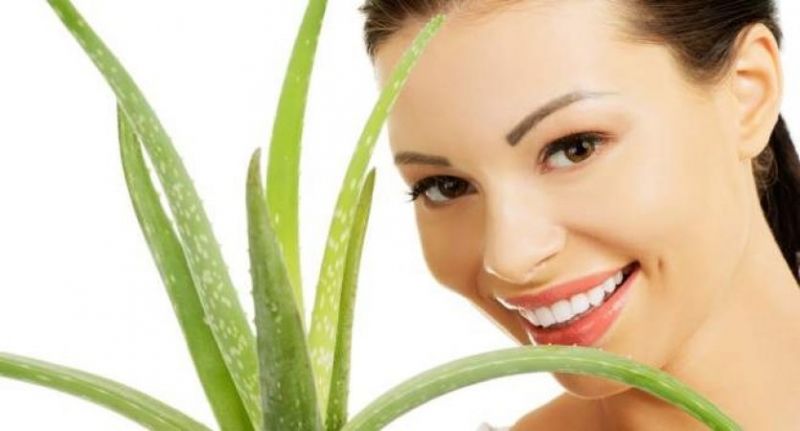 Aloe Vera gel removes skin's dryness