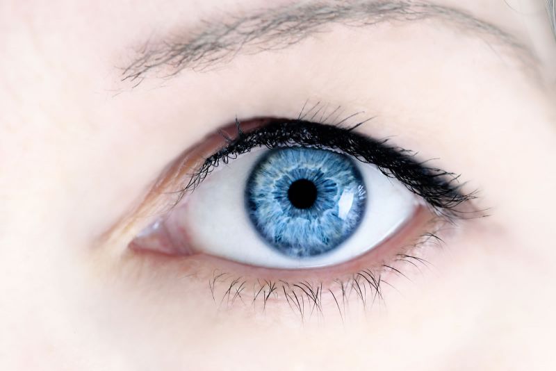 Myths regarding eye health and fact behind them
