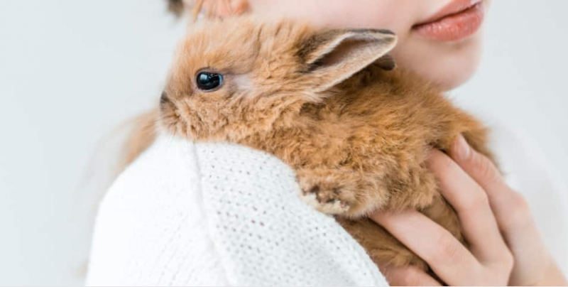 Beauty Product to Use if You Don’t Support Animal Cruelty