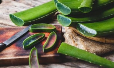 The Remarkable Benefits of Aloe Vera for Health and Beauty