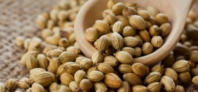 Paste of Coriander Seed stops hair fall