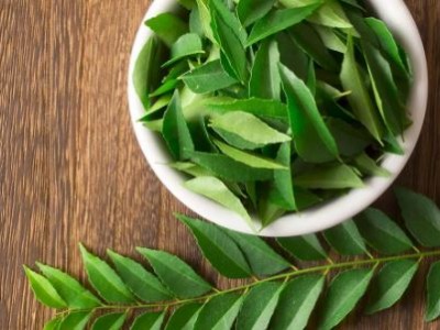 Unlock the Power of Curry Leaves: Boost Hair Growth, Skin Health, and Overall Wellness