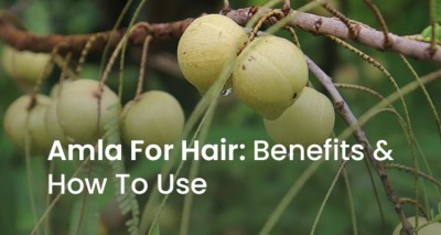 Don't Ignore the Amazing Benefits of Amla for Hair: From Growth to Strengthening