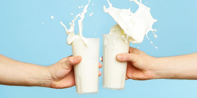 Excess consumption of milk is not good for skin