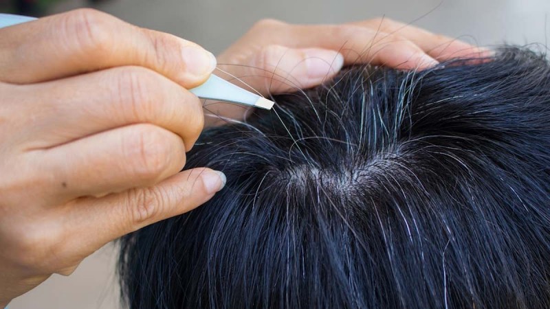 Does plucking one gray hair really result in two gray hairs?