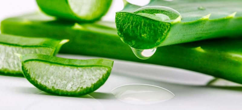 6 Magical Aloe Vera remedies for your body