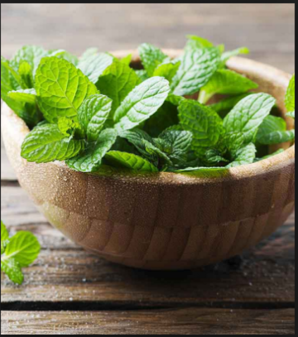 Homemade Beauty Remedies Using Mint to get cooling effects