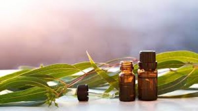 Eucalyptus oil is no less than a boon for health and skin