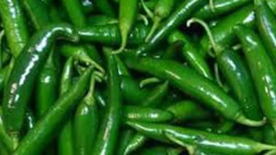 Green chillies are beneficial for health