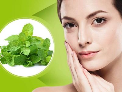 Use Mint leaves to problem free skin