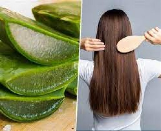 If you are afraid of falling hair then use aloe vera like this, the effect will be visible in a few days