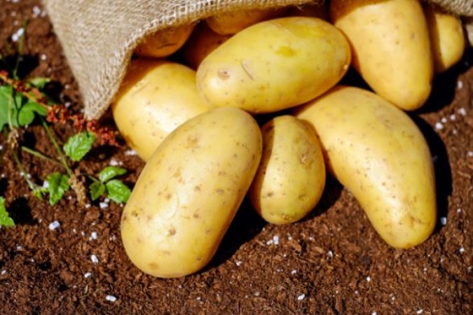 Acne treatment to hydration: 7 beauty benefits of Potatoes