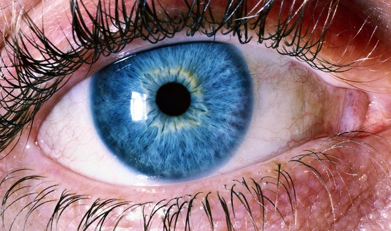 Your eye color may reveal certain information about your attractiveness