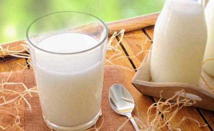 These Dairy Products provide a good level of Calcium in Kids, Teen and Adults