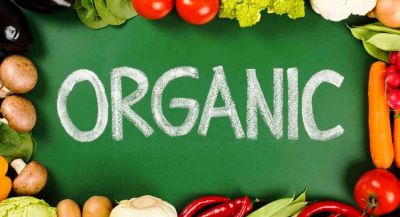 World Health Day 2018: 4 Benefits of organic food