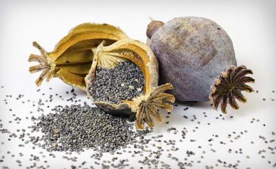 Know the various usages of Poppy seeds (खसखस)