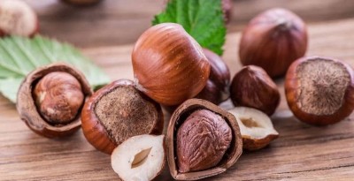 Exploring the Bountiful Benefits of Hazelnuts
