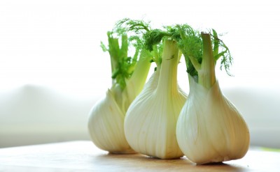 What is the Best Fennel Substitute?