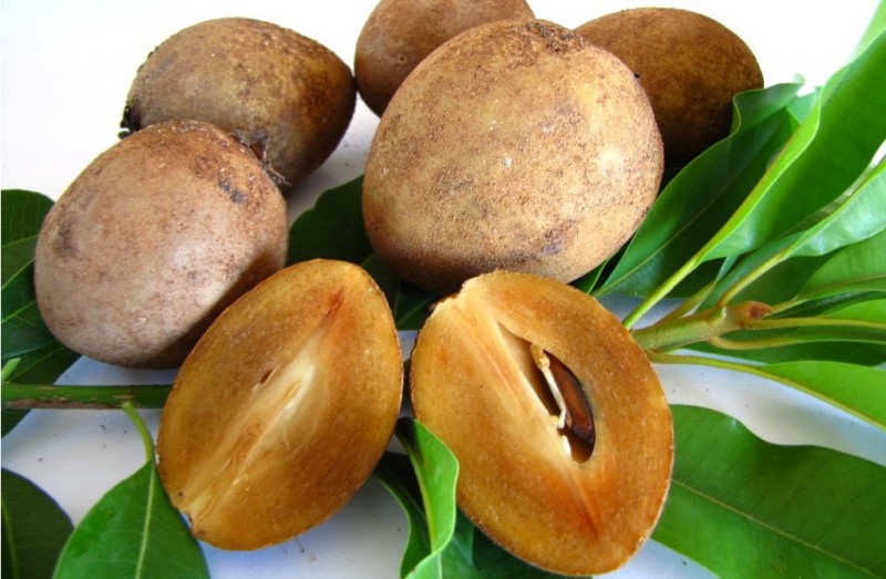 All About Sapodilla: A Sweet and Nutritious Tropical Delight