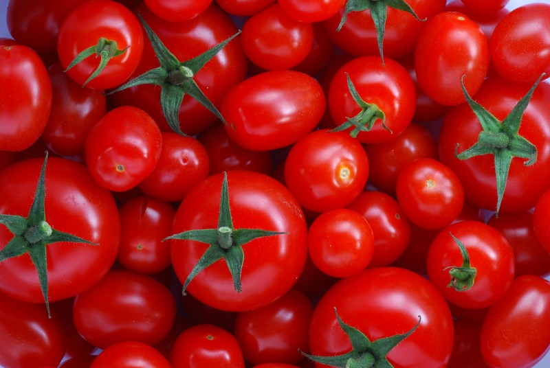 Tomatoes: Unveiling the Magic of Nature's Favored Fruit