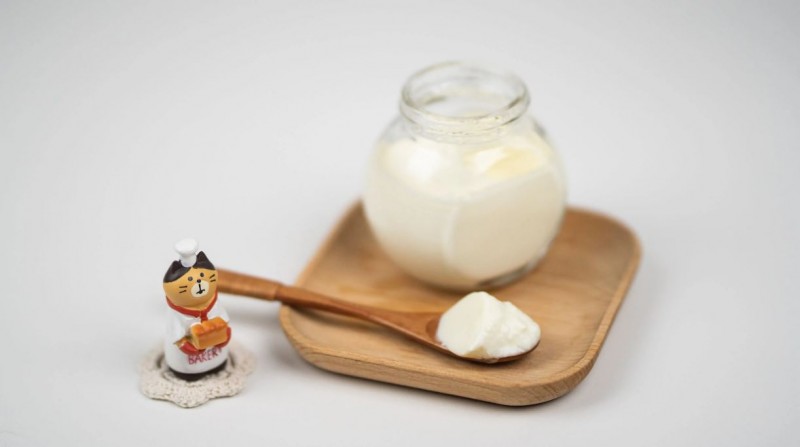 Exploring the Differences Between Curd and Yoghurt