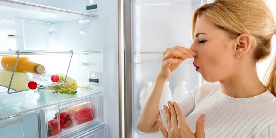 Simple Solutions to Eliminate Refrigerator Odors