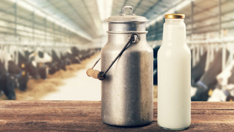 Is drinking cow milk healthy? See what the professionals have to say