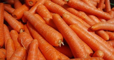 Gardening & Harvesting Orange Carrots at Home