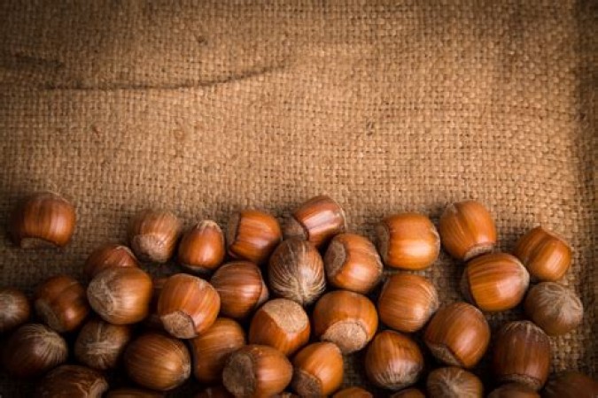 What is in a 28 gram serving of hazelnuts?