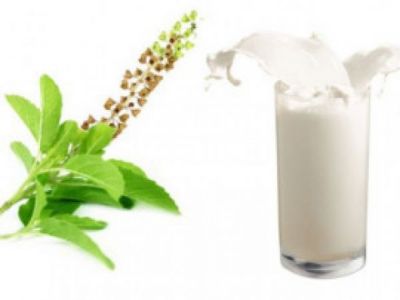 Tulsi milk protects against cancer