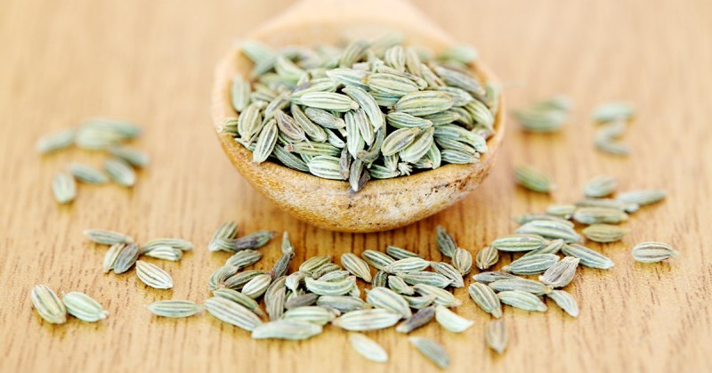 2 Quick fennel seeds recipes to add this herb to your diet.