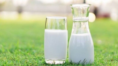 Yes, It's Time to Know Wholesome Benefits of Milk: World Milk Day 2024