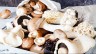 5 reasons why you should have mushrooms in your diet, and how…